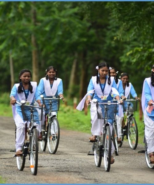 WhatsApp Image 2025-01-27 at 4.30.27 PM (1)