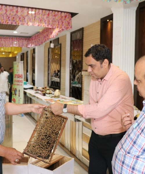 WhatsApp Image 2025-01-27 at 4.30.29 PM (1)