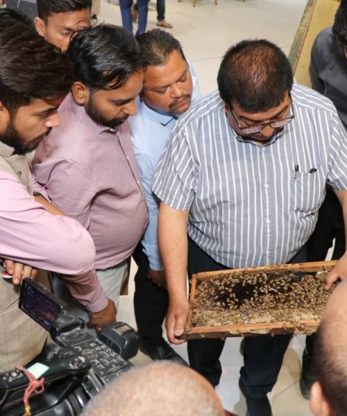 WhatsApp Image 2025-01-27 at 4.30.29 PM (2)